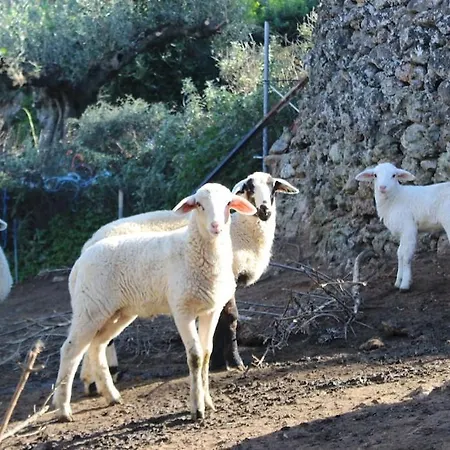 Hanakia Appartement Stoúpa