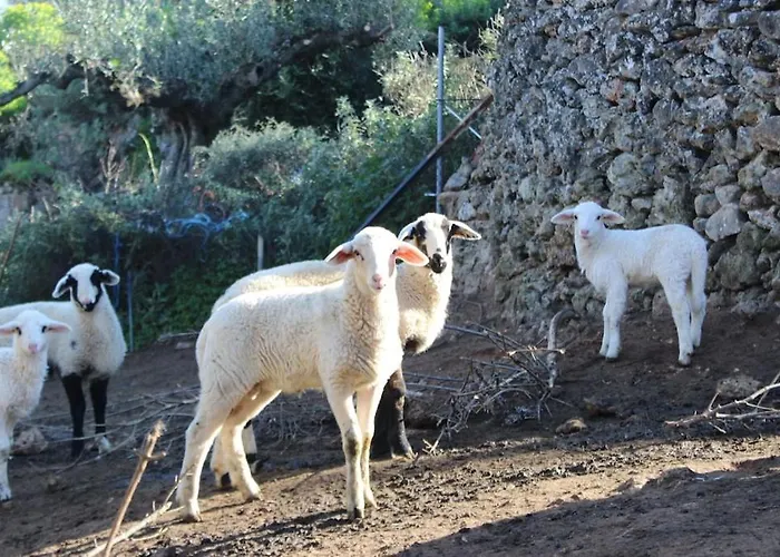 Hanakia Apartment Stoupa